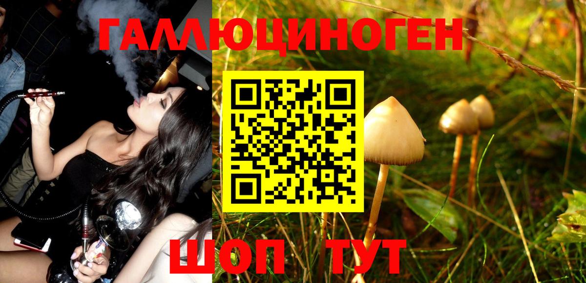 Псилоцибиновые грибы Psilocybe  Вход с VPN  Кимры 